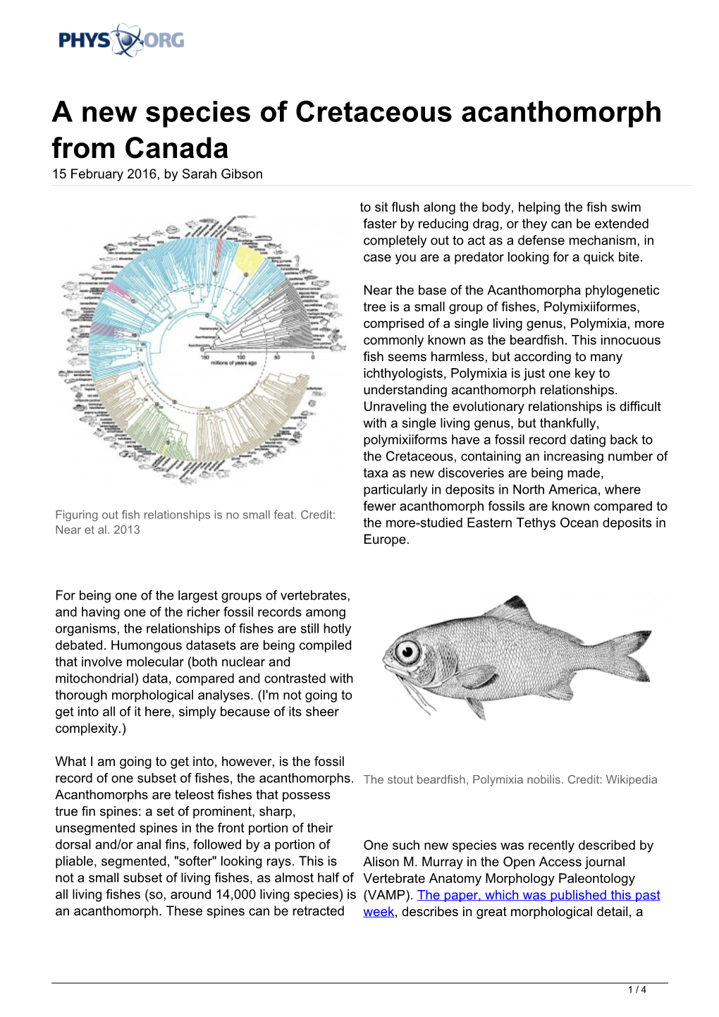 A New Species of Cretaceous Acanthomorph from Canada 15 February 2016, by Sarah Gibson