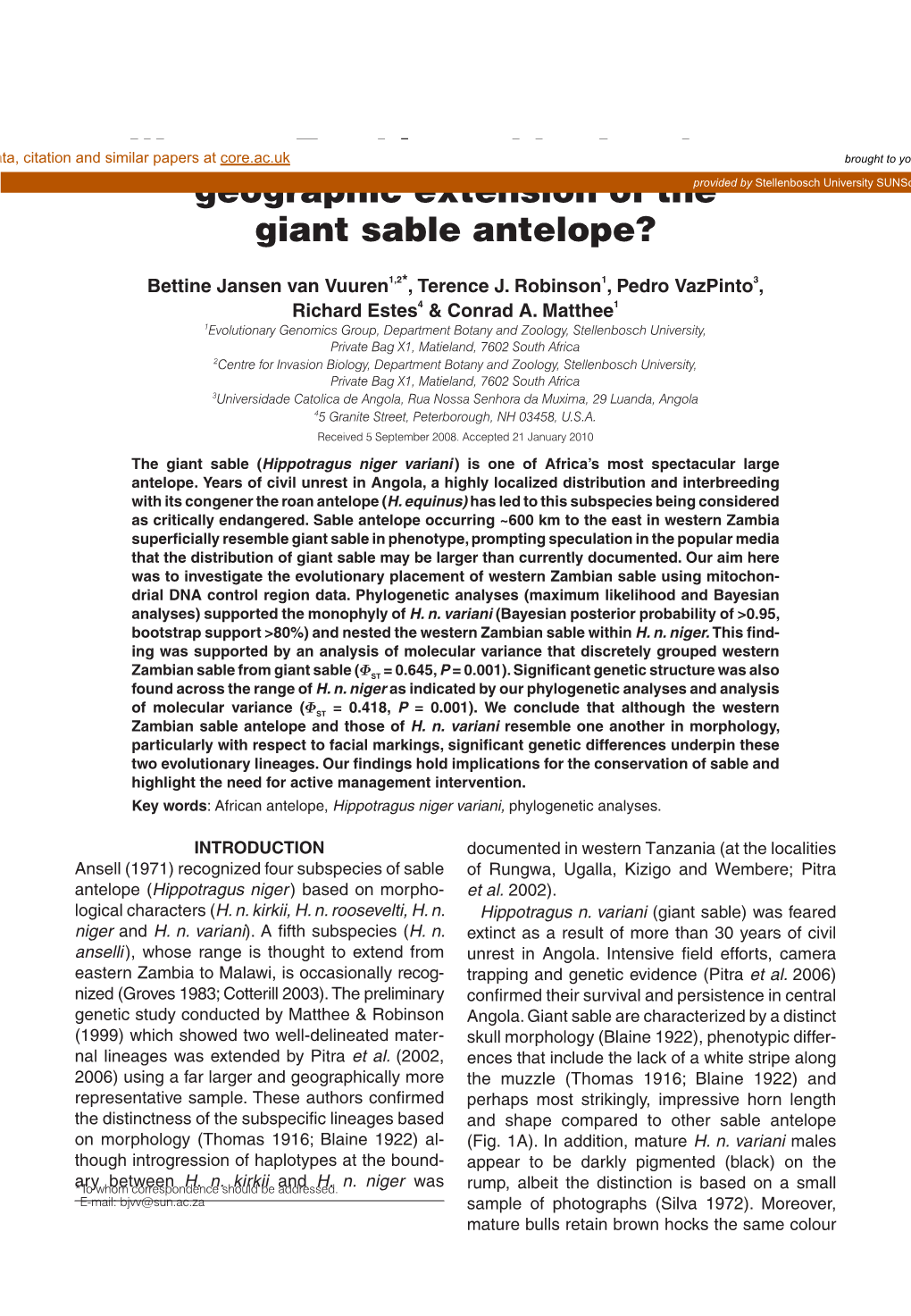 Western Zambian Sable: Are They a Geographic Extension of the Giant Sable Antelope?