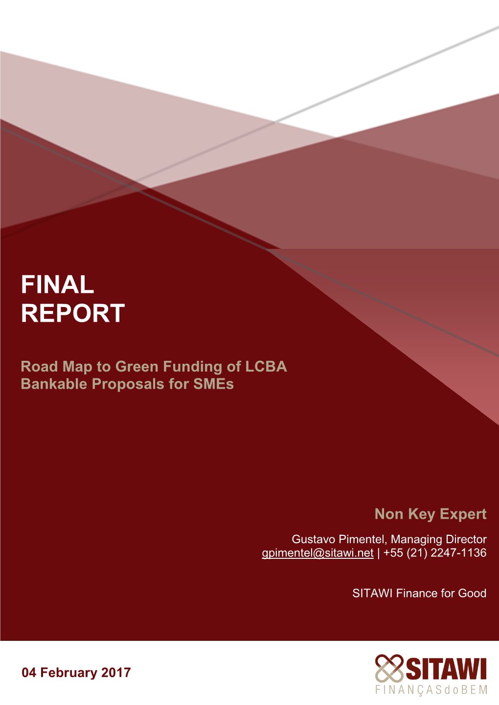 Final Report