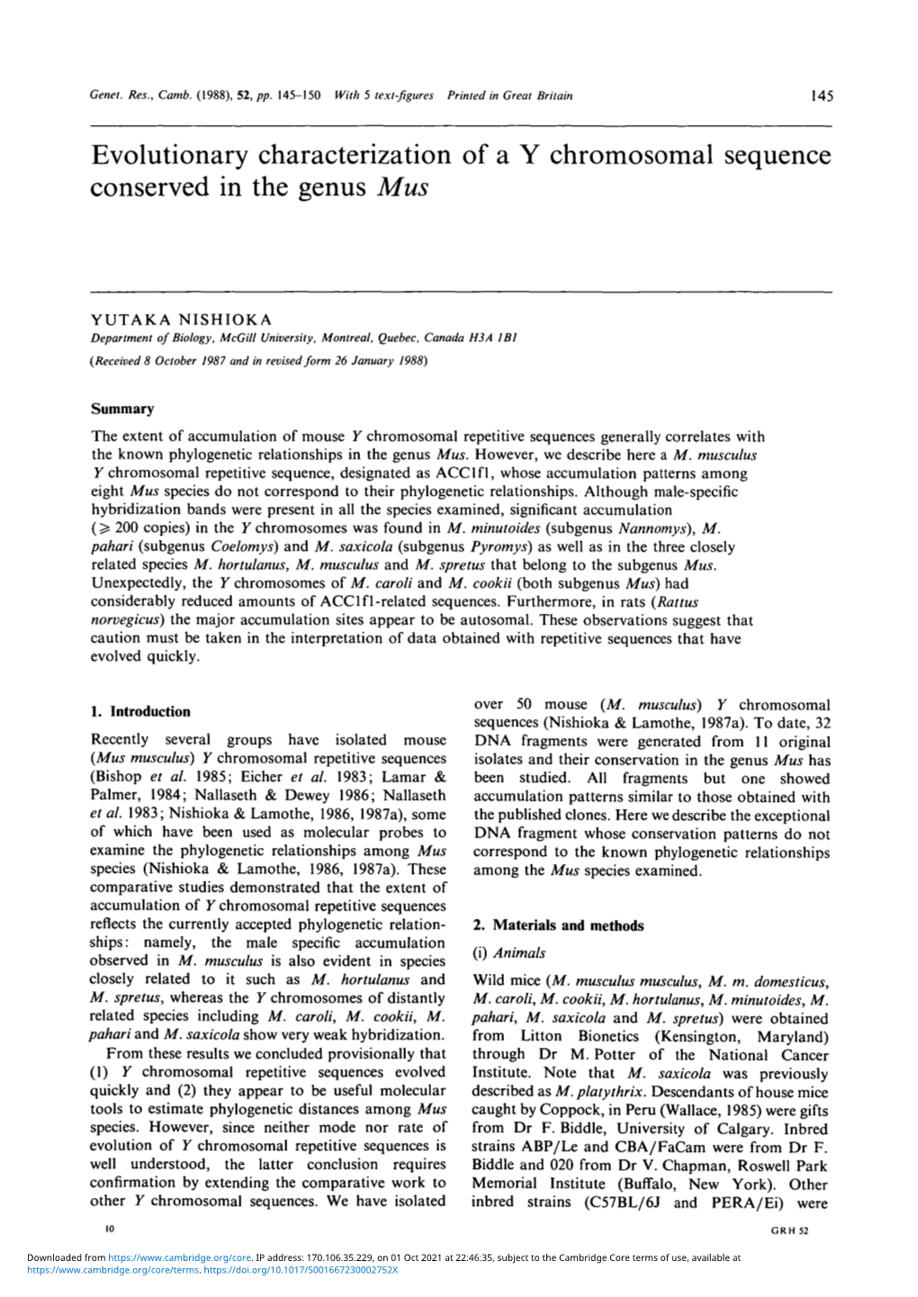 Evolutionary Characterization of a Y Chromosomal Sequence Conserved in the Genus Mus