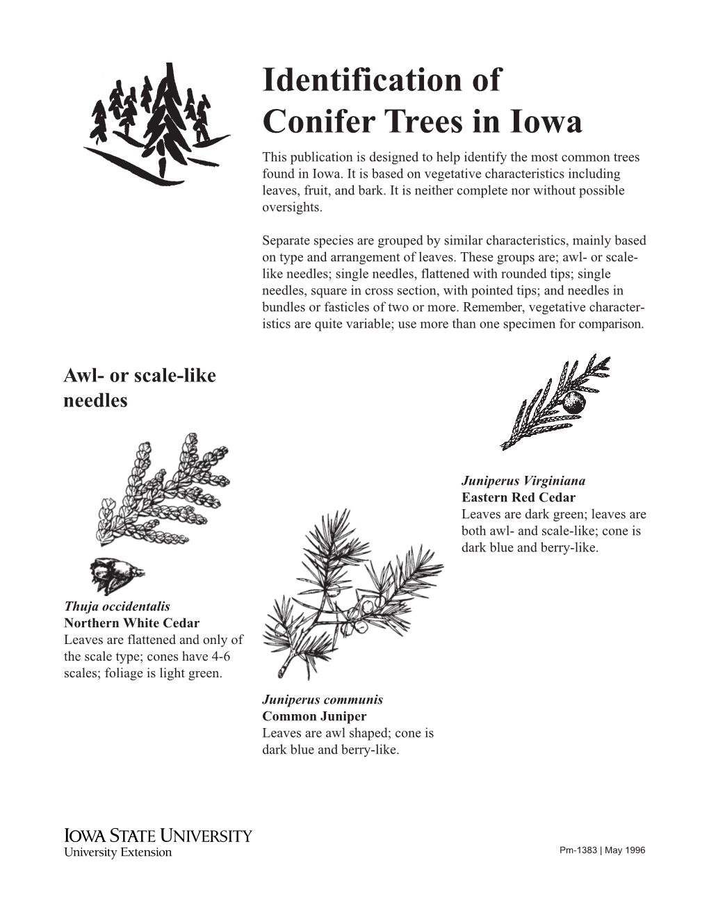 Identification of Conifer Trees in Iowa This Publication Is Designed to Help Identify the Most Common Trees Found in Iowa