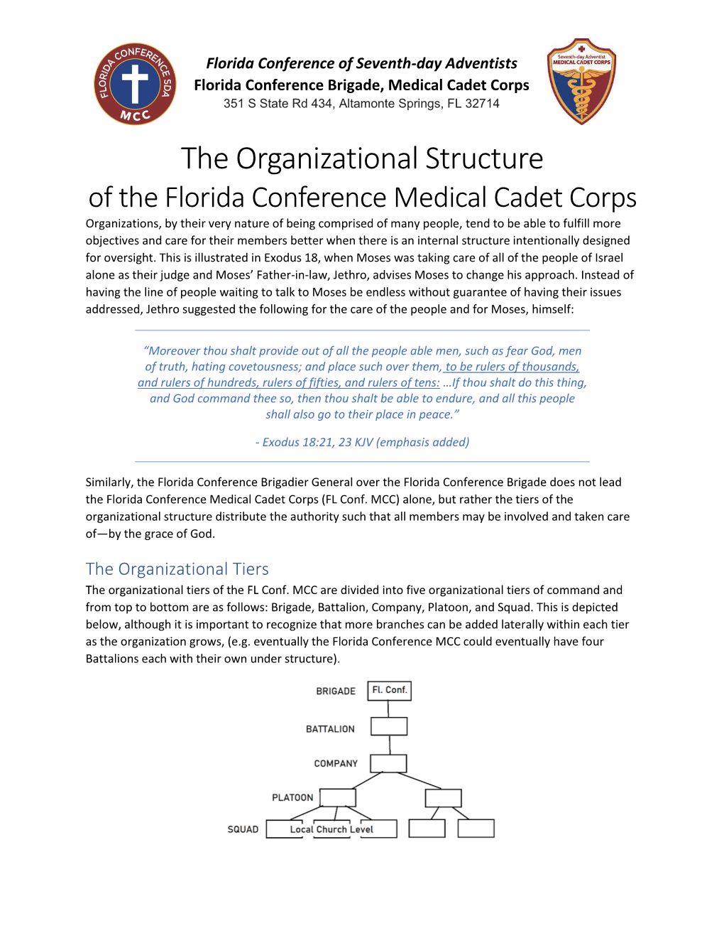 The Organizational Structure