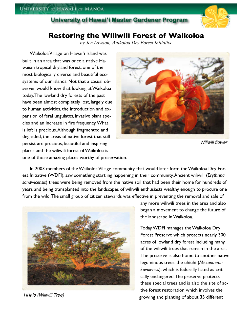 Restoring the Wiliwili Forest of Waikoloa by Jen Lawson, Waikoloa Dry Forest Initiative