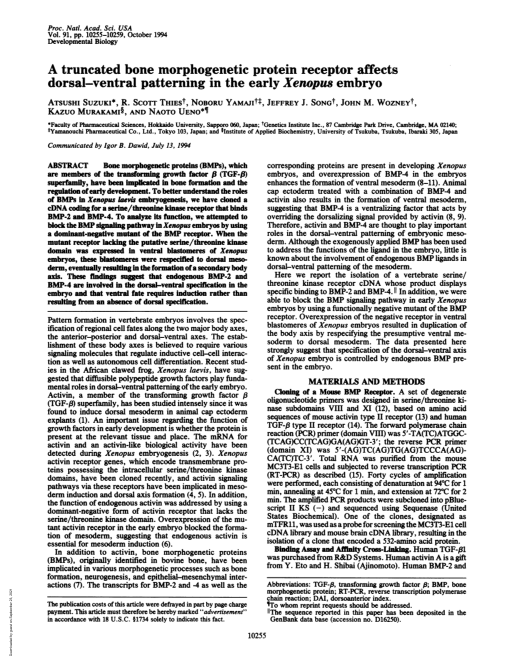 A Truncated Bone Morphogenetic Protein Receptor Affects Dorsal-Ventral Patterning in the Early Xenopus Embryo ATSUSHI SUZUKI*, R