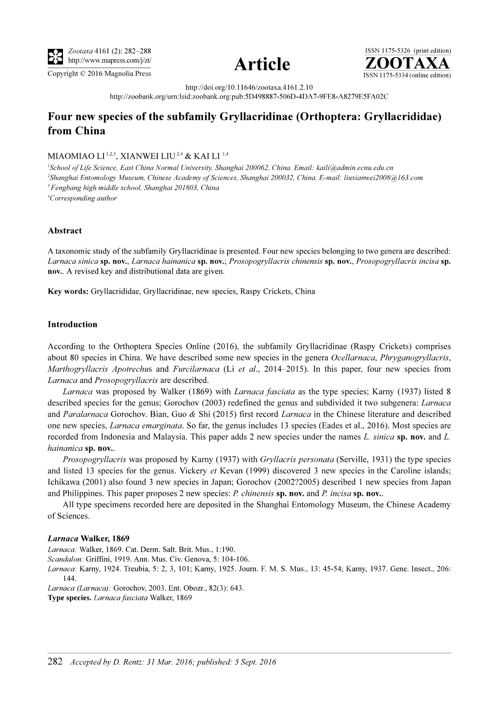 Four New Species of the Subfamily Gryllacridinae (Orthoptera: Gryllacrididae) from China