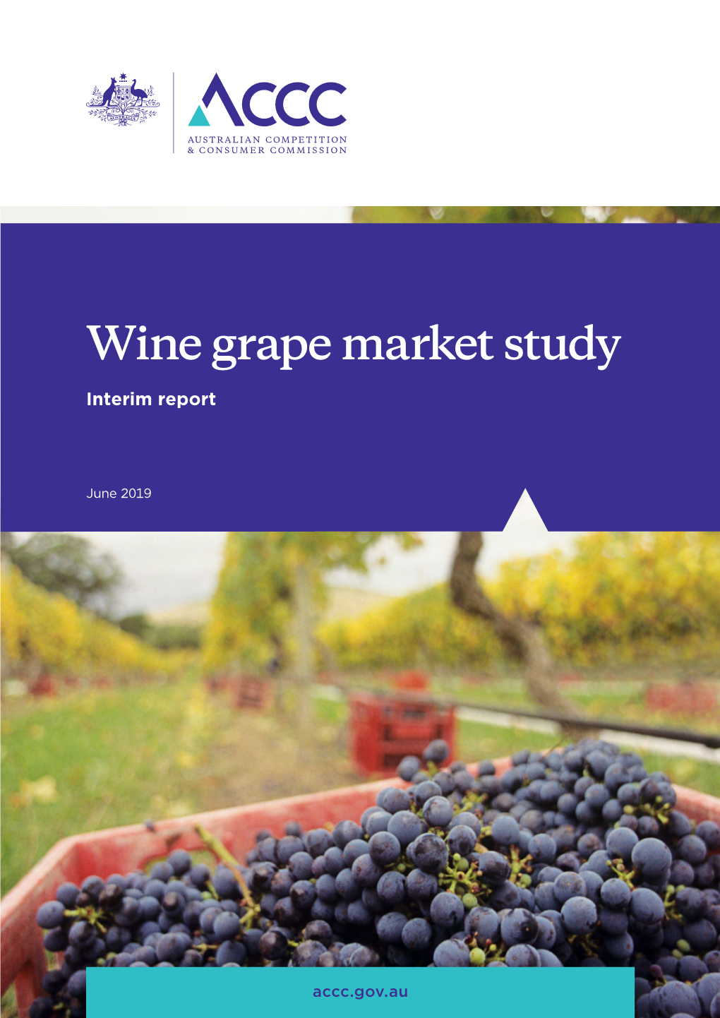 Wine Grape Market Study