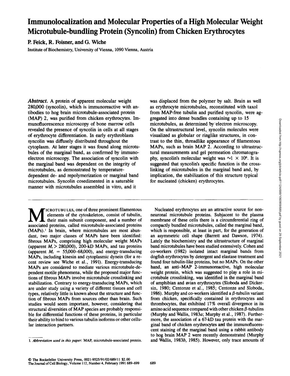 Immunolocalization and Molecular Properties of a High Molecular Weight Microtubule-Bundling Protein (Syncolin) from Chicken Erythrocytes E Feick, R