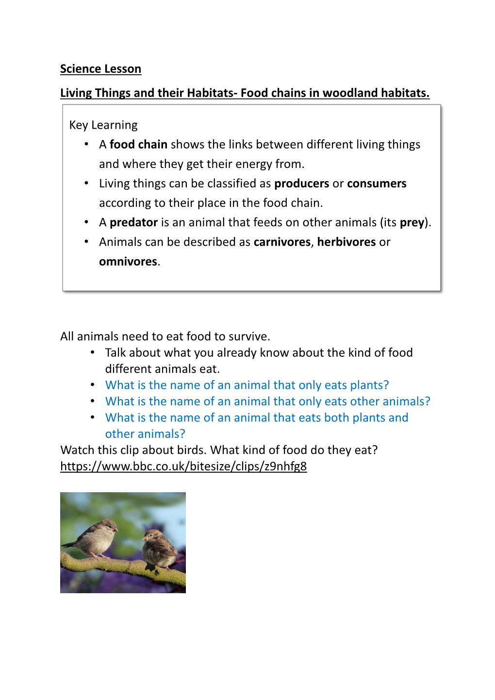 Food Chains in Woodland Habitats. All Animals Need to Eat Food to Survive