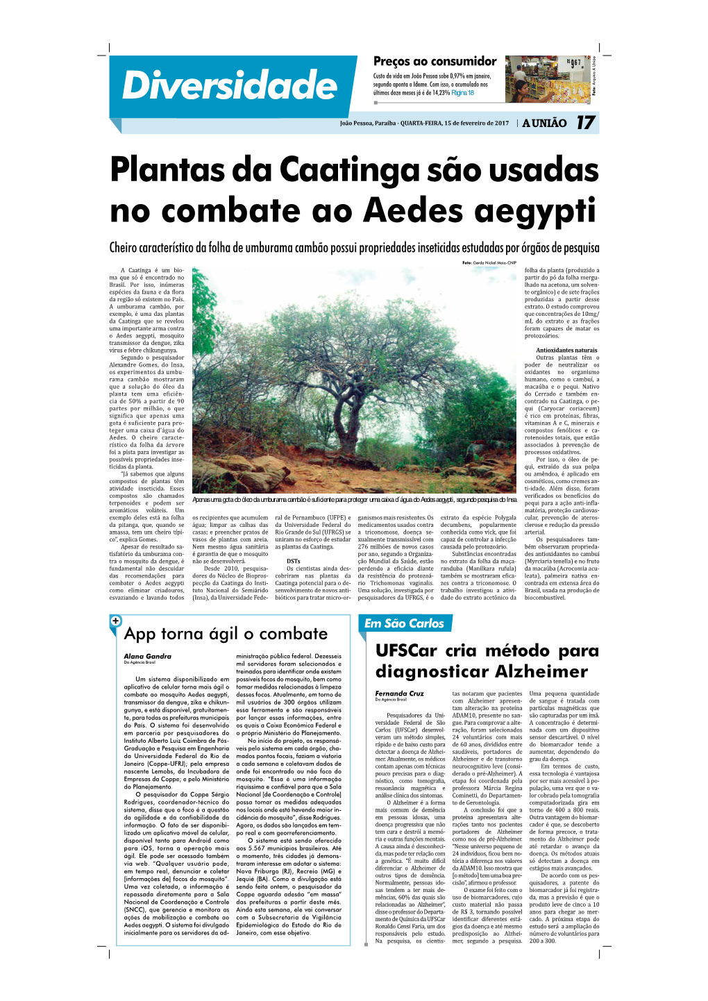 Jornal Em PDF 15-02-17Bb