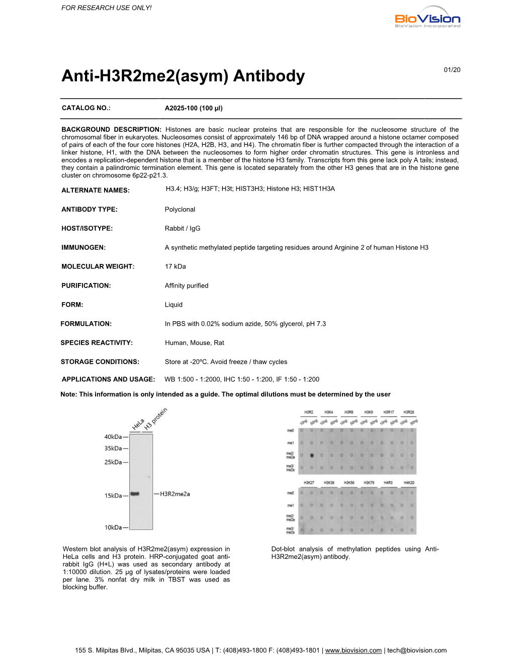 Anti-H3r2me2(Asym) Antibody