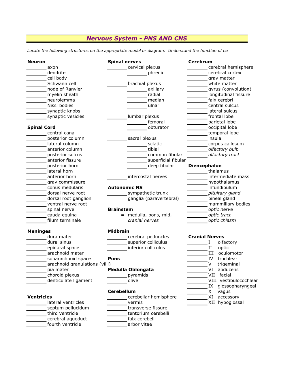 Nervous System - PNS and CNS