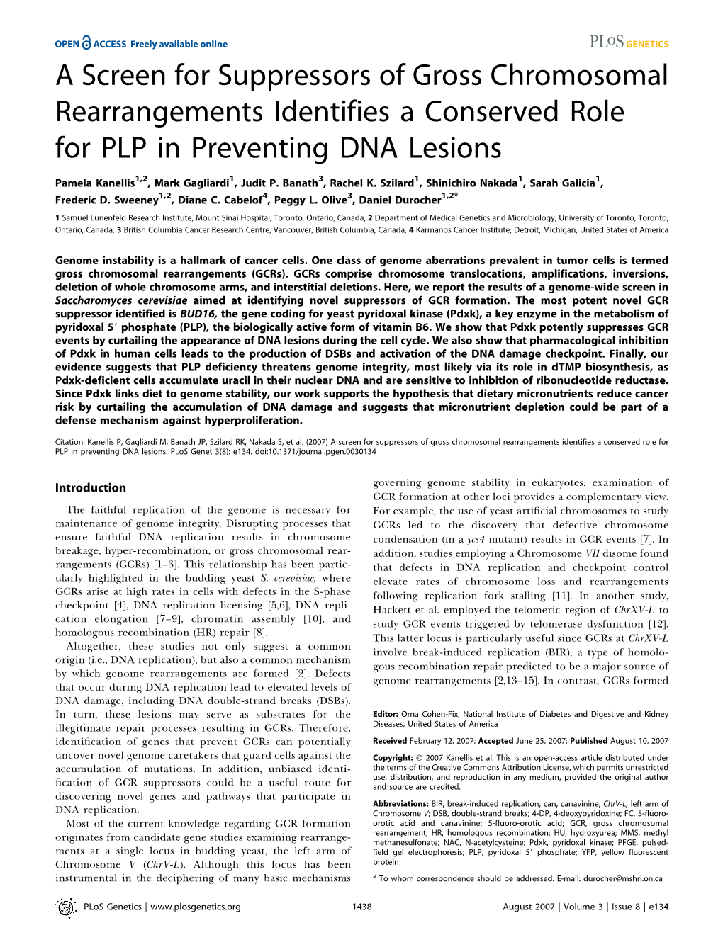 A Screen for Suppressors of Gross Chromosomal Rearrangements Identifies a Conserved Role for PLP in Preventing DNA Lesions