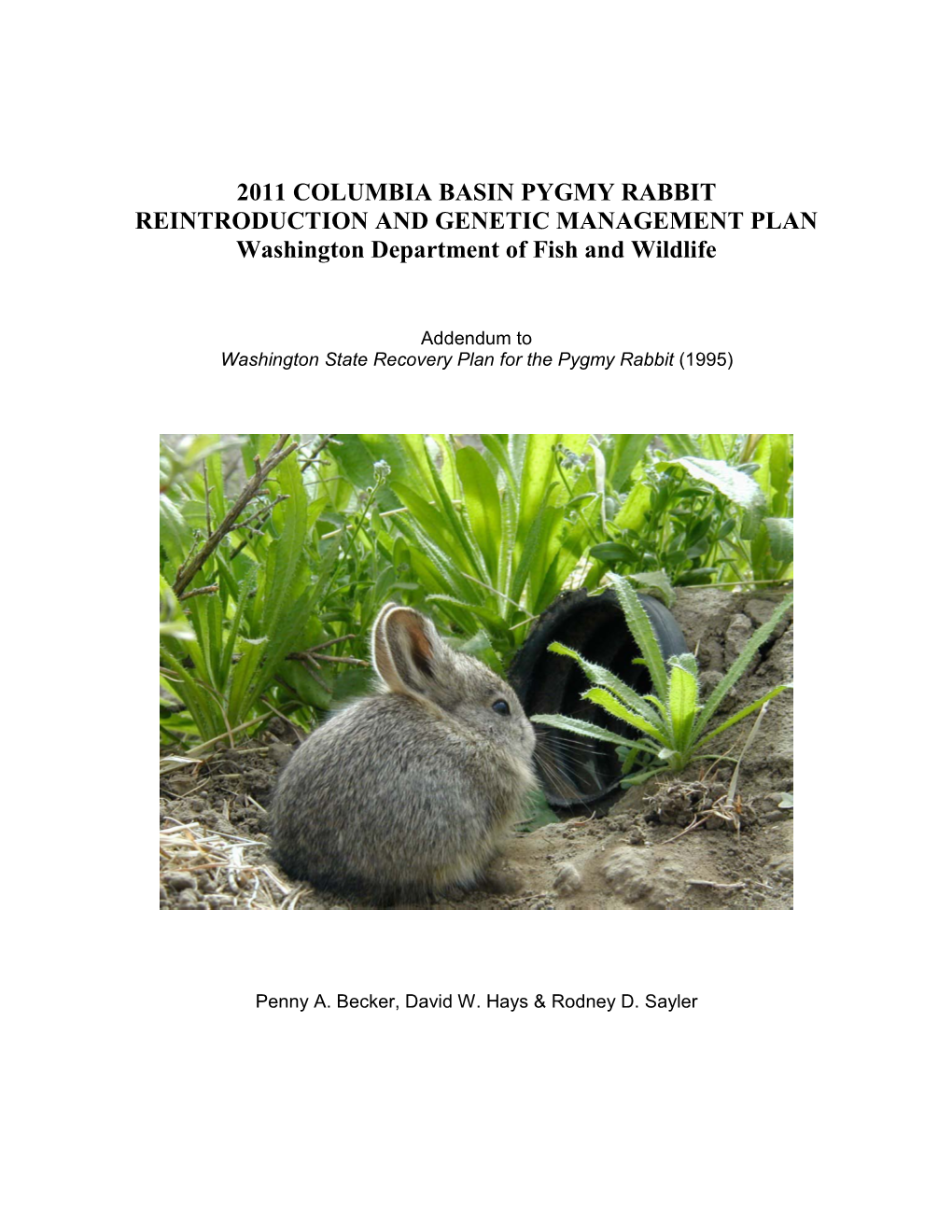 2011 COLUMBIA BASIN PYGMY RABBIT REINTRODUCTION and GENETIC MANAGEMENT PLAN Washington Department of Fish and Wildlife