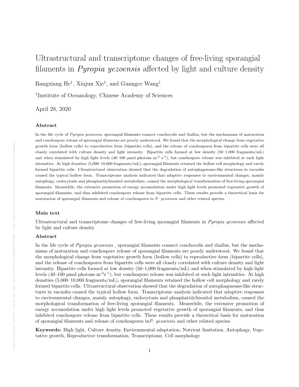 Ultrastructural and Transcriptome Changes of Free-Living Sporangial Filaments in Pyropia Yezoensis Affected by Light and Culture