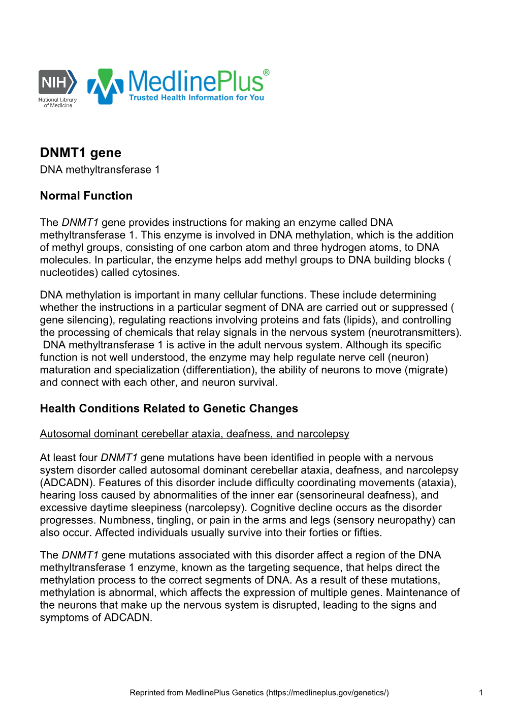 DNMT1 Gene DNA Methyltransferase 1