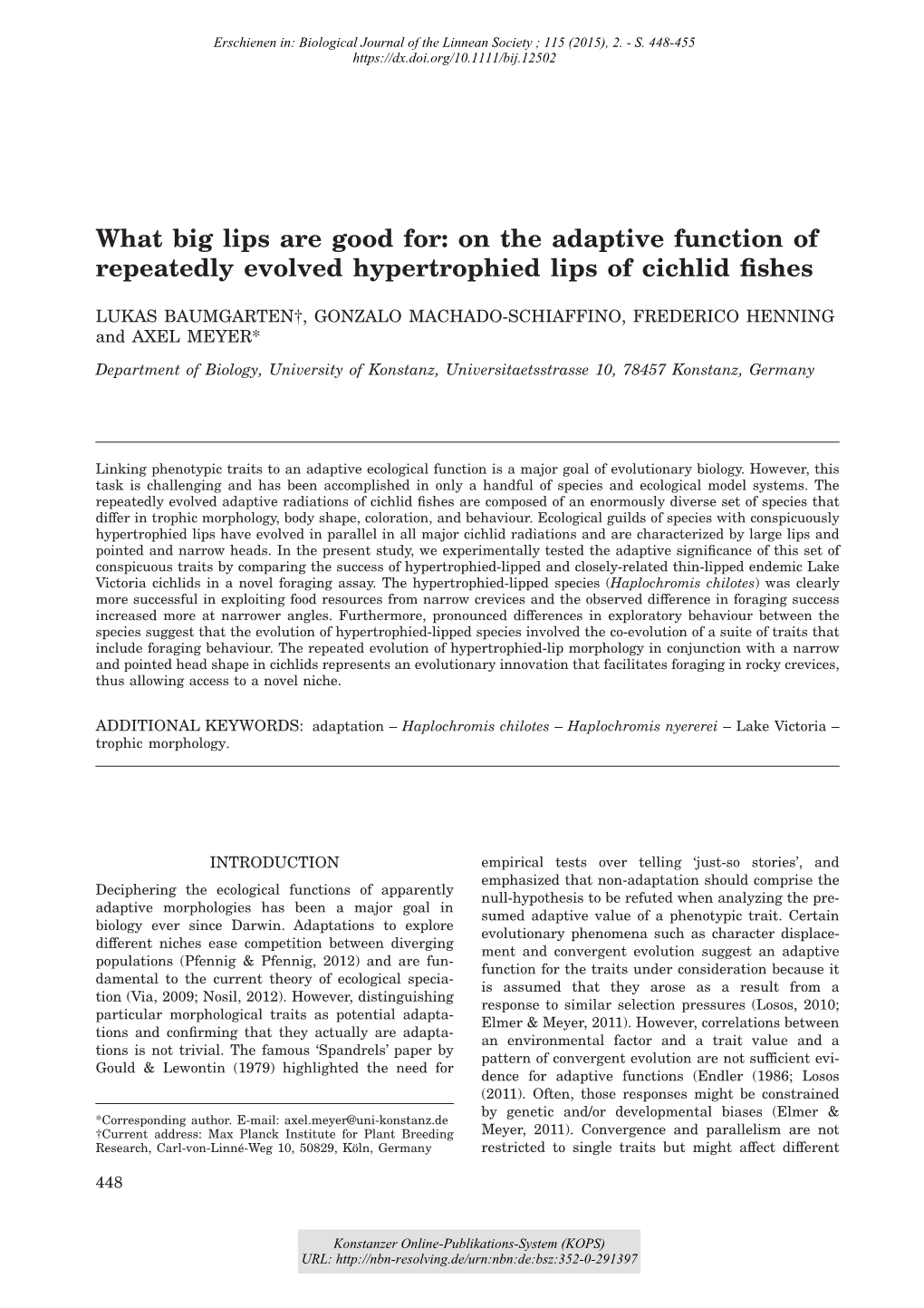 On the Adaptive Function of Repeatedly Evolved Hypertrophied Lips of Cichlid ﬁshes