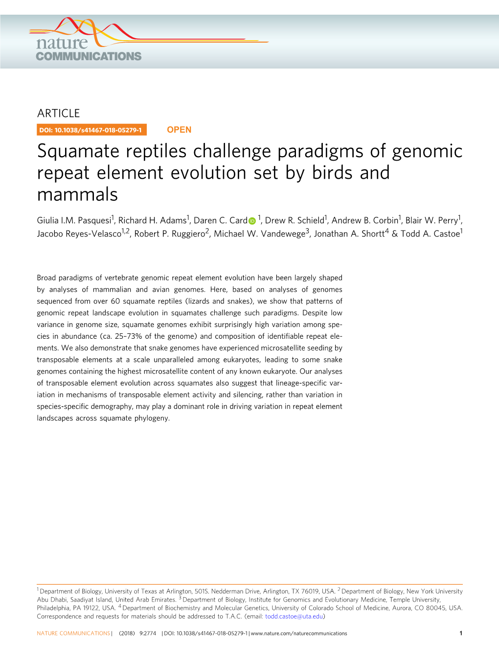 Squamate Reptiles Challenge Paradigms of Genomic Repeat Element Evolution Set by Birds and Mammals