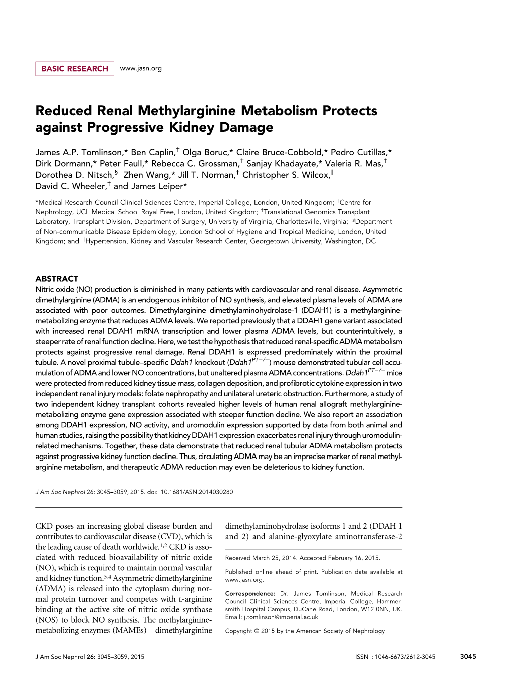 Reduced Renal Methylarginine Metabolism Protects Against Progressive Kidney Damage