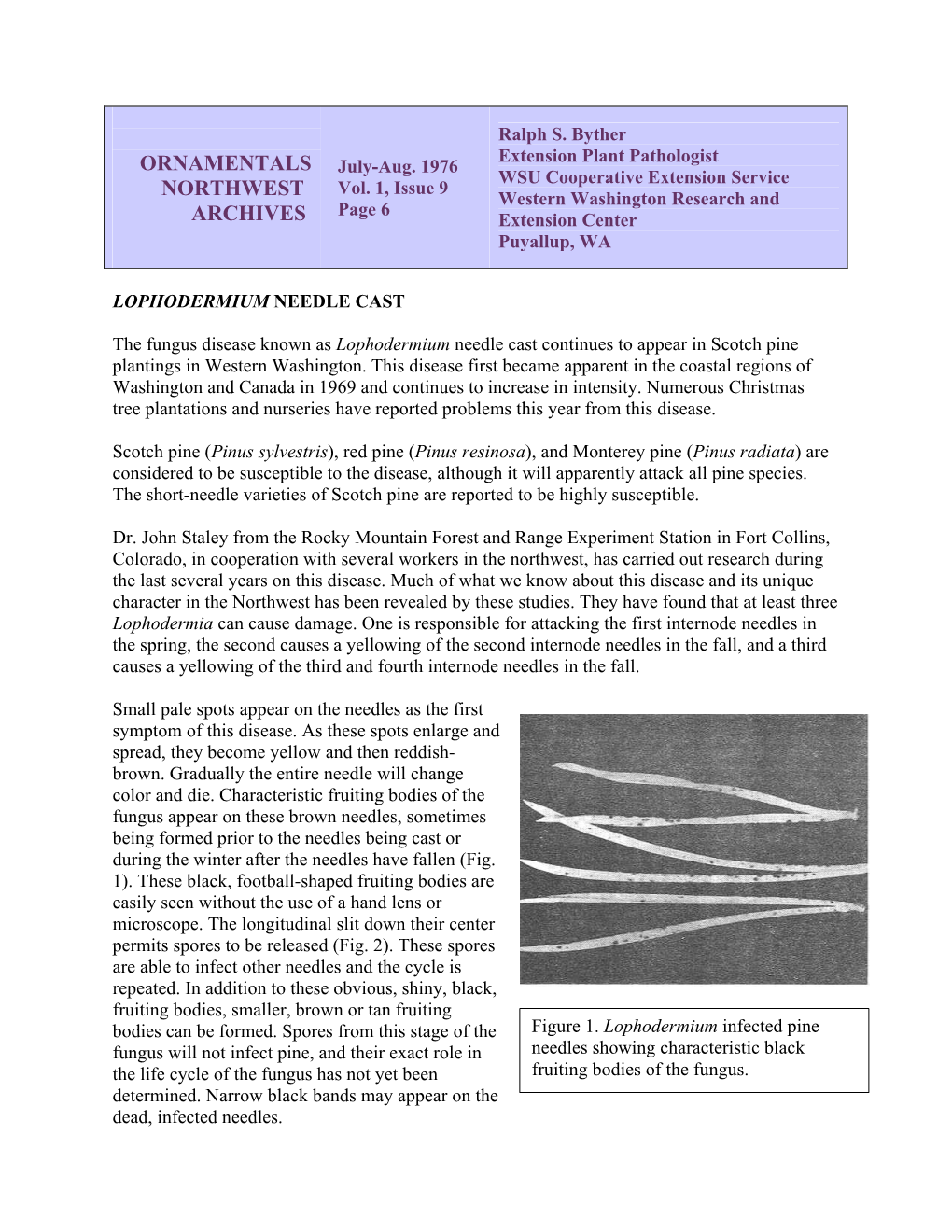 Lophodermium Needle Cast, Vol.1, Issue 9