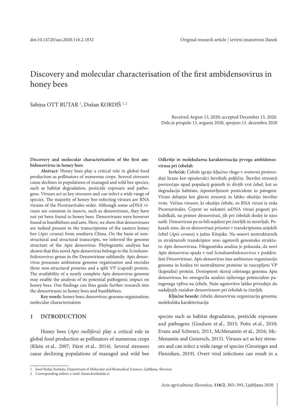 Discovery and Molecular Characterisation of the First Ambidensovirus in Honey Bees