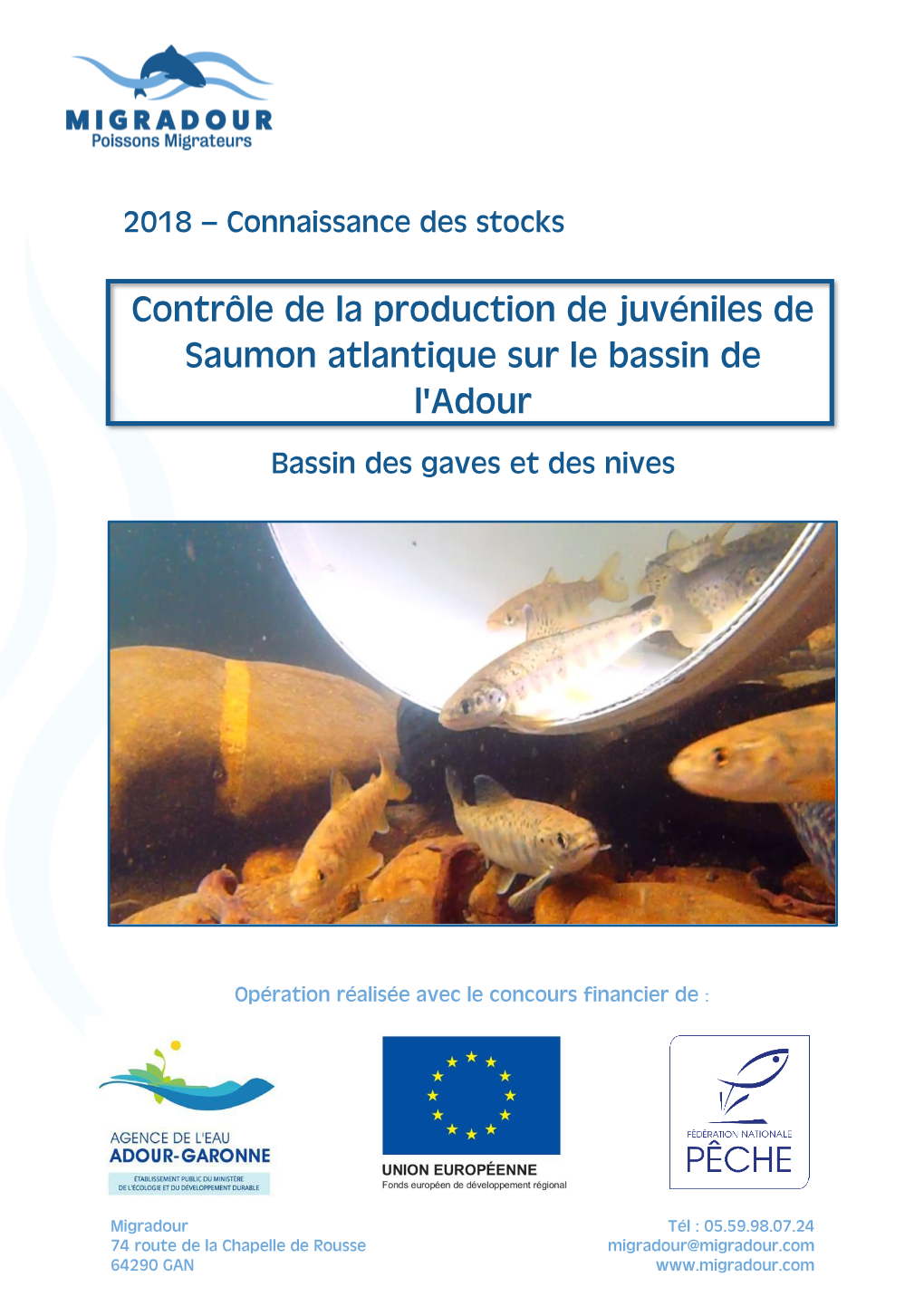 Contrôle De La Production De Juvéniles De Saumon Atlantique Sur Le Bassin De L‘Adour Bassin Des Gaves Et Des Nives