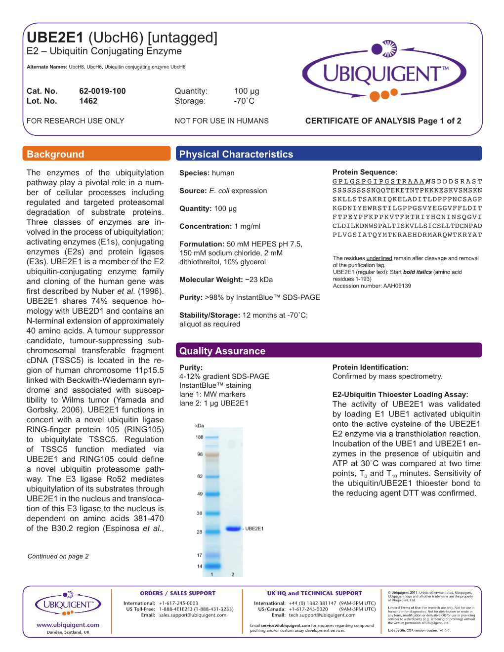 UBE2E1 (Ubch6) [Untagged] E2 – Ubiquitin Conjugating Enzyme