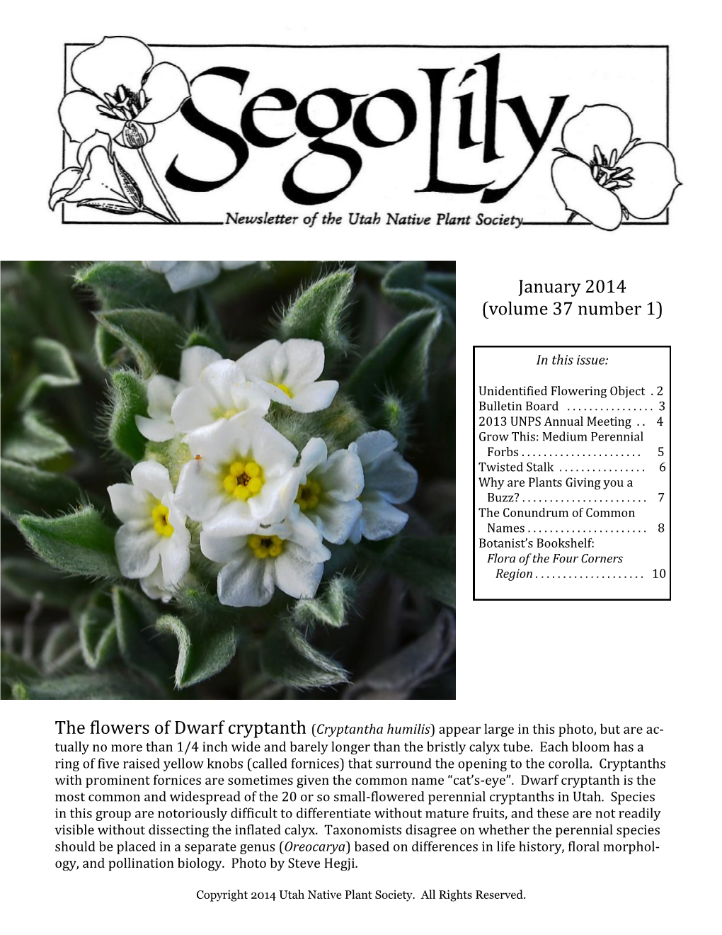 January 2014 (Volume 37 Number 1)