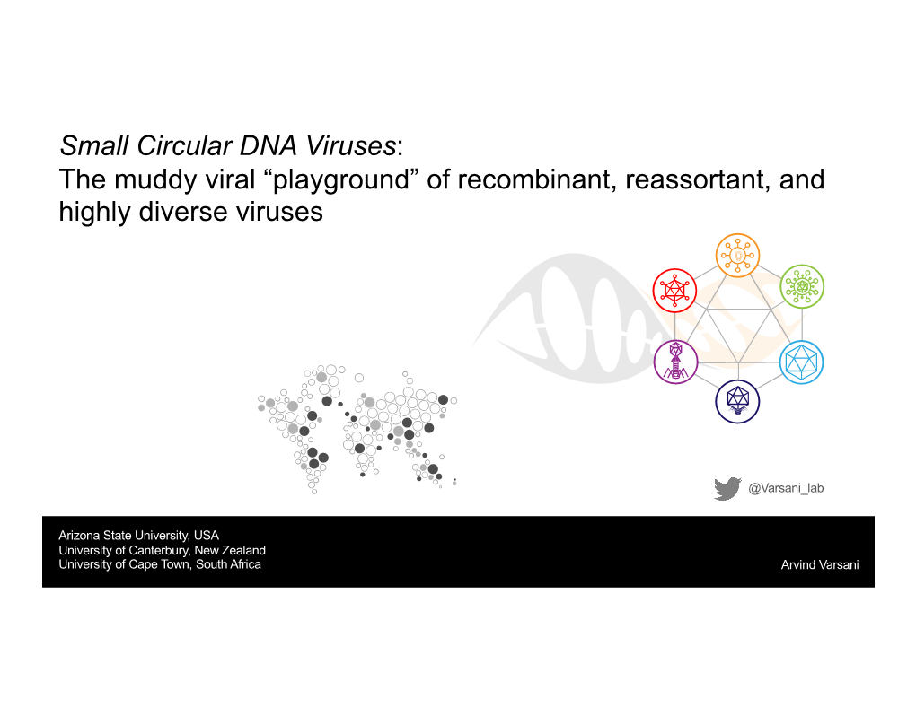 Small Circular DNA Viruses: the Muddy Viral “Playground” of Recombinant, Reassortant, and Highly Diverse Viruses
