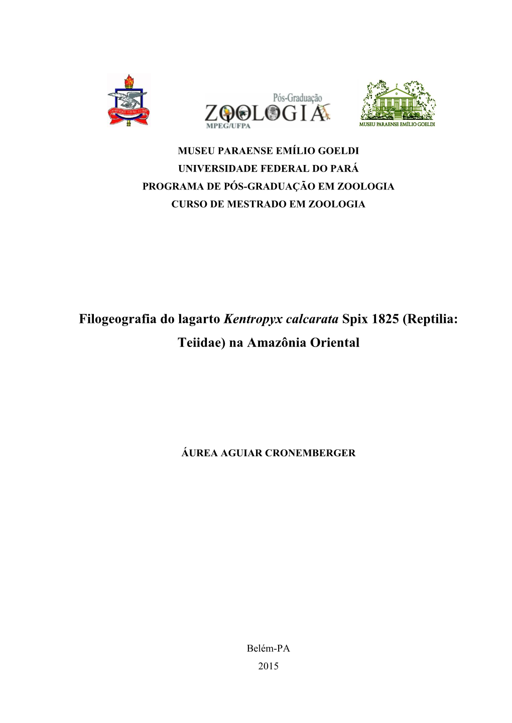 Filogeografia Do Lagarto Kentropyx Calcarata Spix 1825 (Reptilia: Teiidae) Na Amazônia Oriental