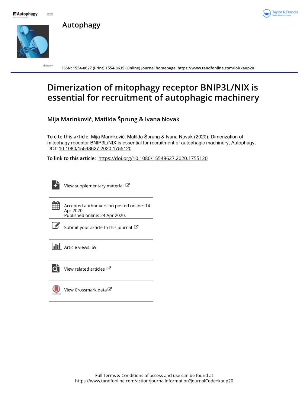 Dimerization of Mitophagy Receptor BNIP3L/NIX Is Essential for Recruitment of Autophagic Machinery
