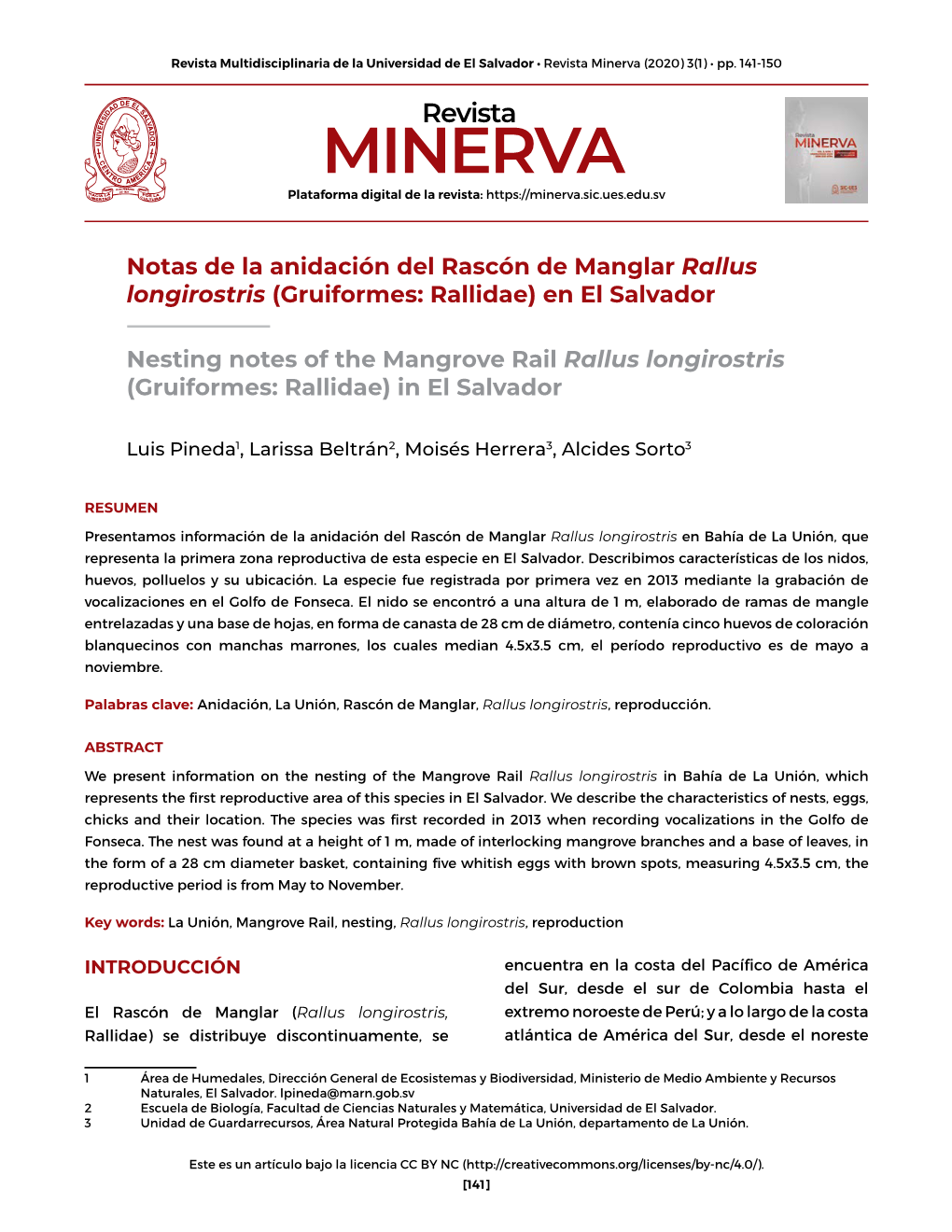 Notas De La Anidación Del Rascón De Manglar Rallus Longirostris (Gruiformes: Rallidae) En El Salvador