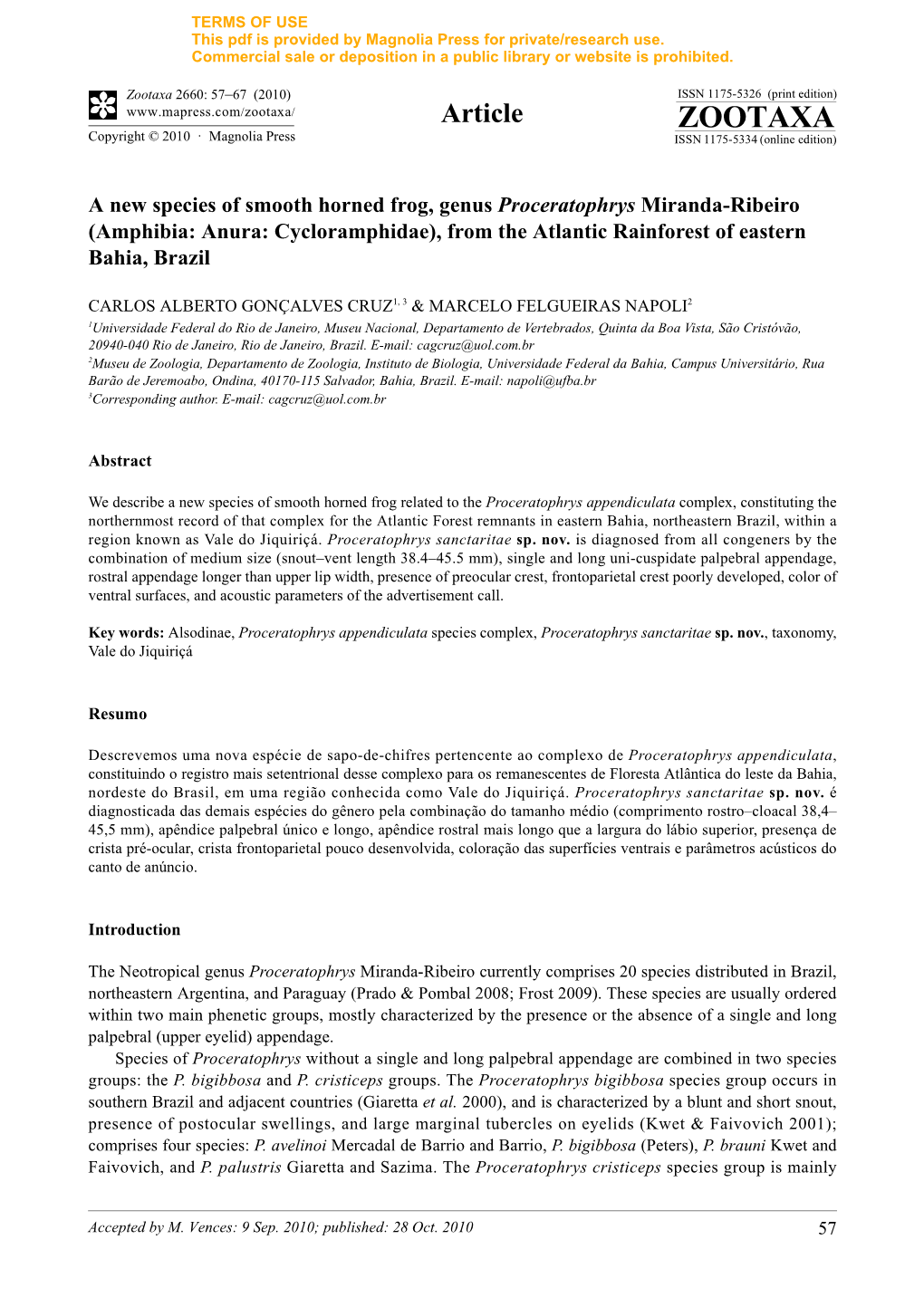 A New Species of Smooth Horned Frog, Genus Proceratophrys Miranda-Ribeiro (Amphibia: Anura: Cycloramphidae), from the Atlantic Rainforest of Eastern Bahia, Brazil