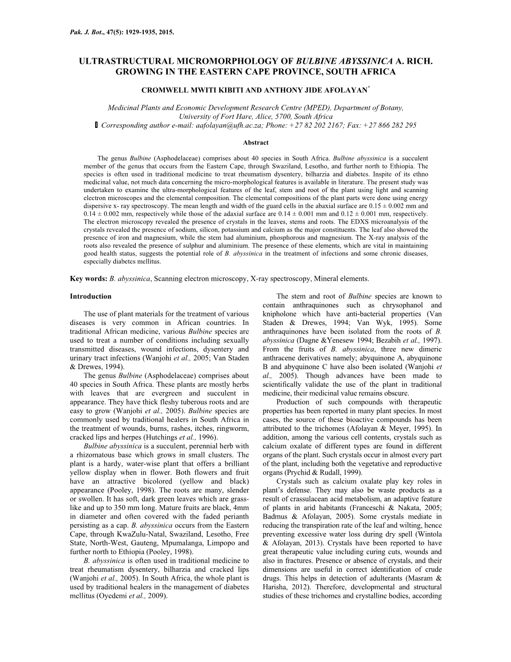 Ultrastructural Micromorphology of Bulbine Abyssinica A