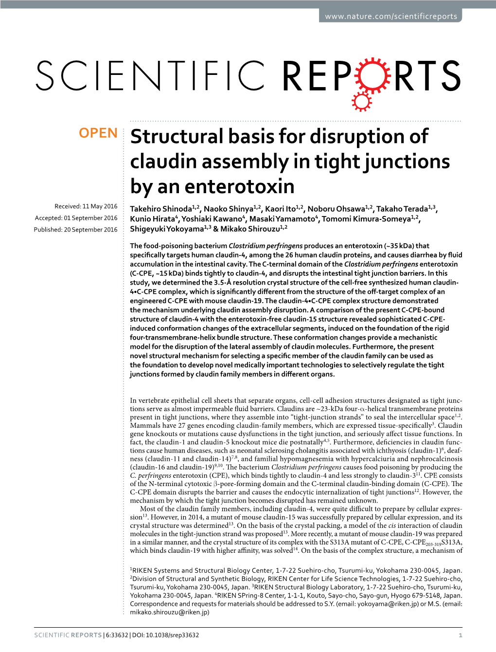 Structural Basis for Disruption of Claudin Assembly in Tight Junctions