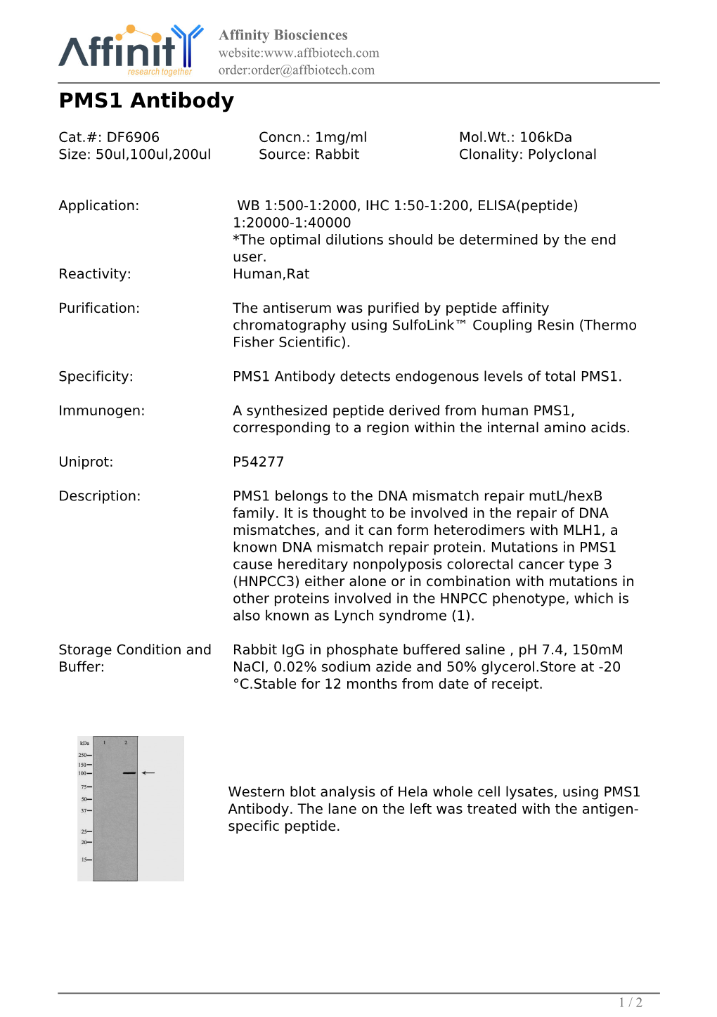 DF6906-PMS1 Antibody