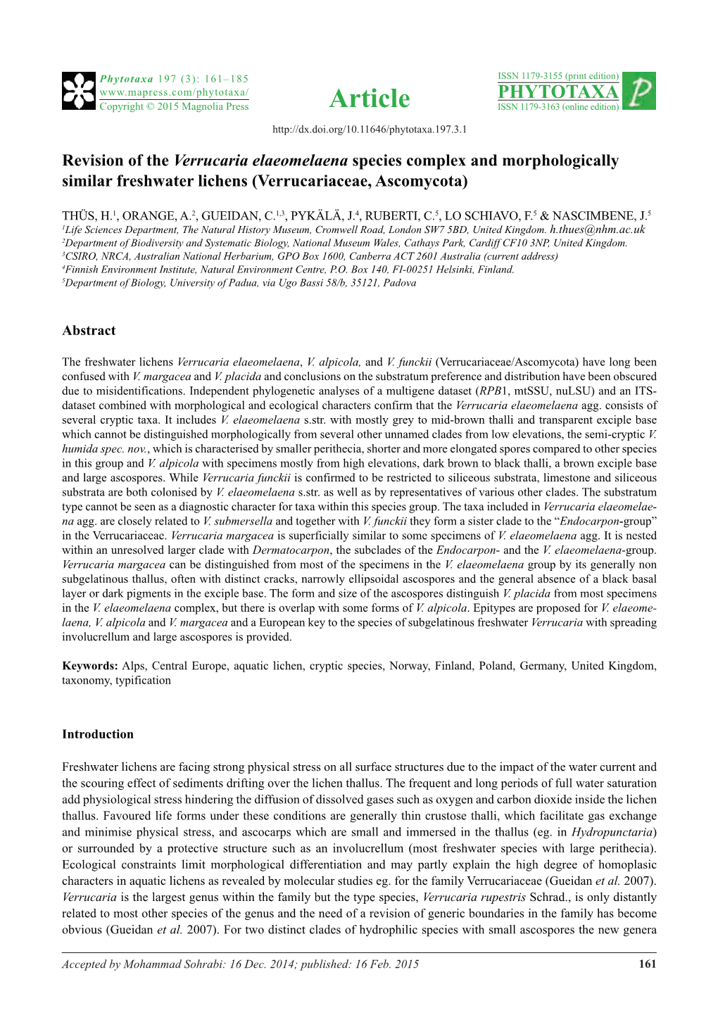 Revision of the Verrucaria Elaeomelaena Species Complex and Morphologically Similar Freshwater Lichens (Verrucariaceae, Ascomycota)