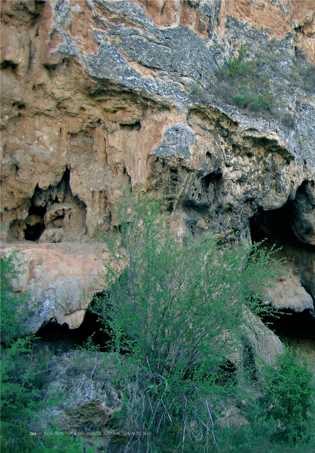 Guía Geológica Del Parque Natural Del Alto Tajo