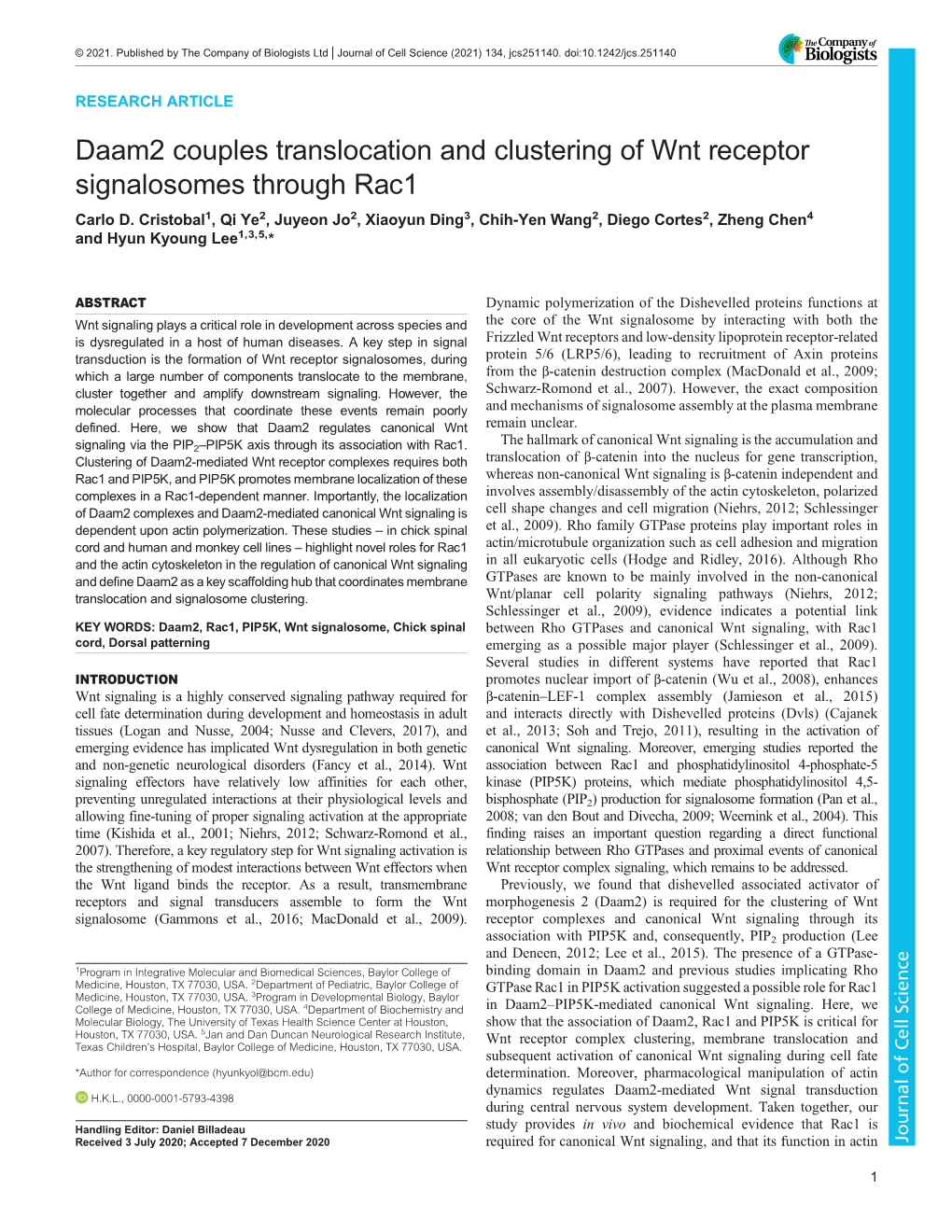 Daam2 Couples Translocation and Clustering of Wnt Receptor Signalosomes Through Rac1 Carlo D