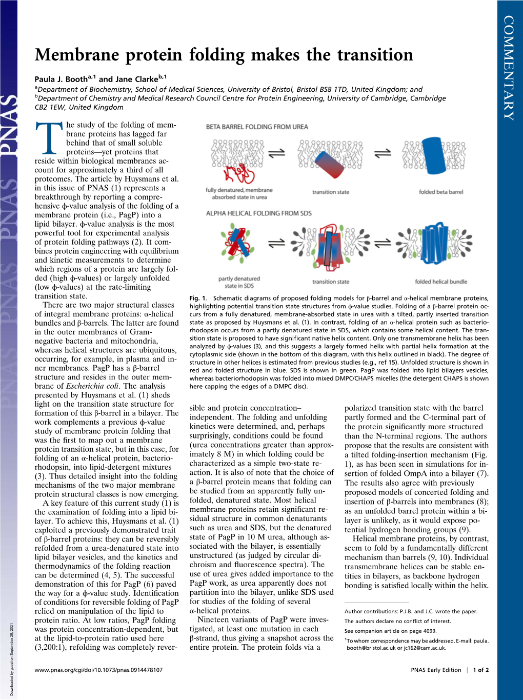 Membrane Protein Folding Makes the Transition