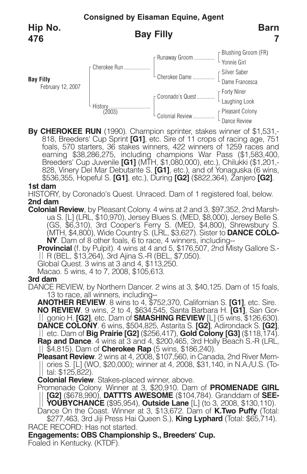 Bay Filly Barn 7 Hip No