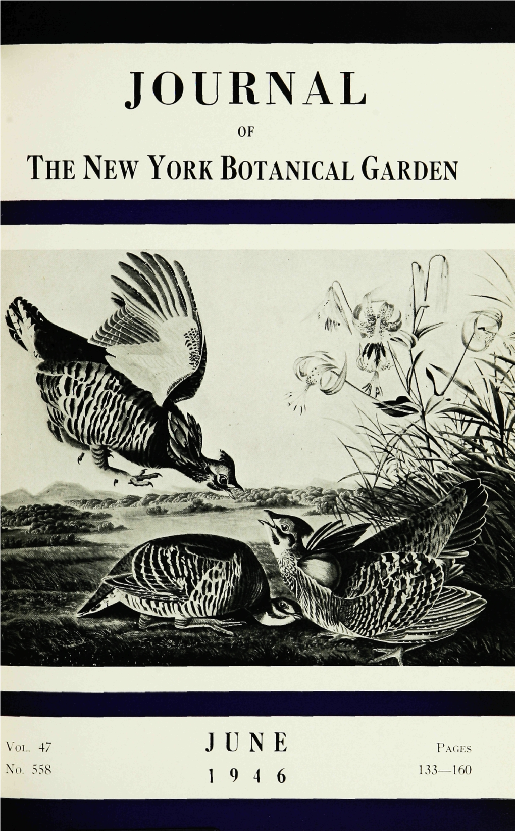 Journal of the New York Botanical Garden