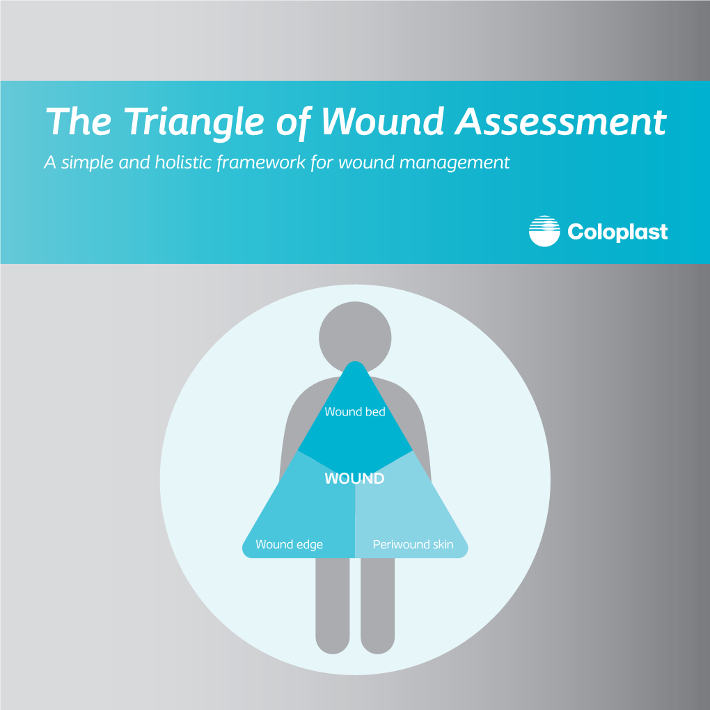 The Triangle of Wound Assessment a Simple and Holistic Framework for Wound Management