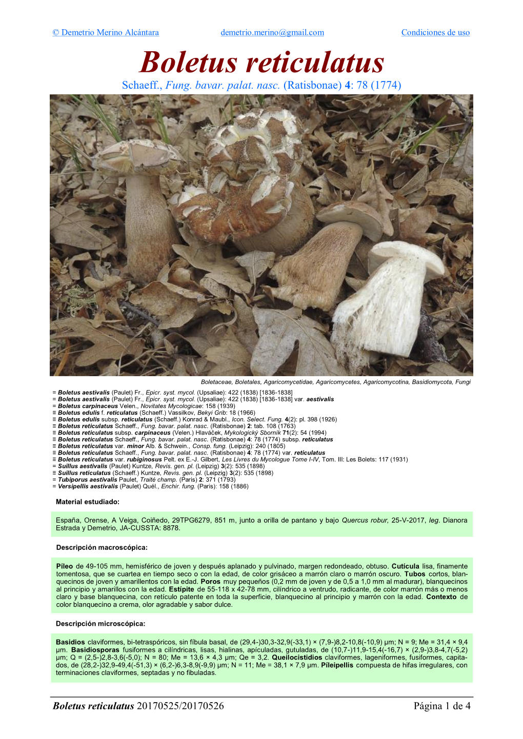 Boletus Reticulatus Reticulatus Boletus 4 De 1 Página 20170525/20170526