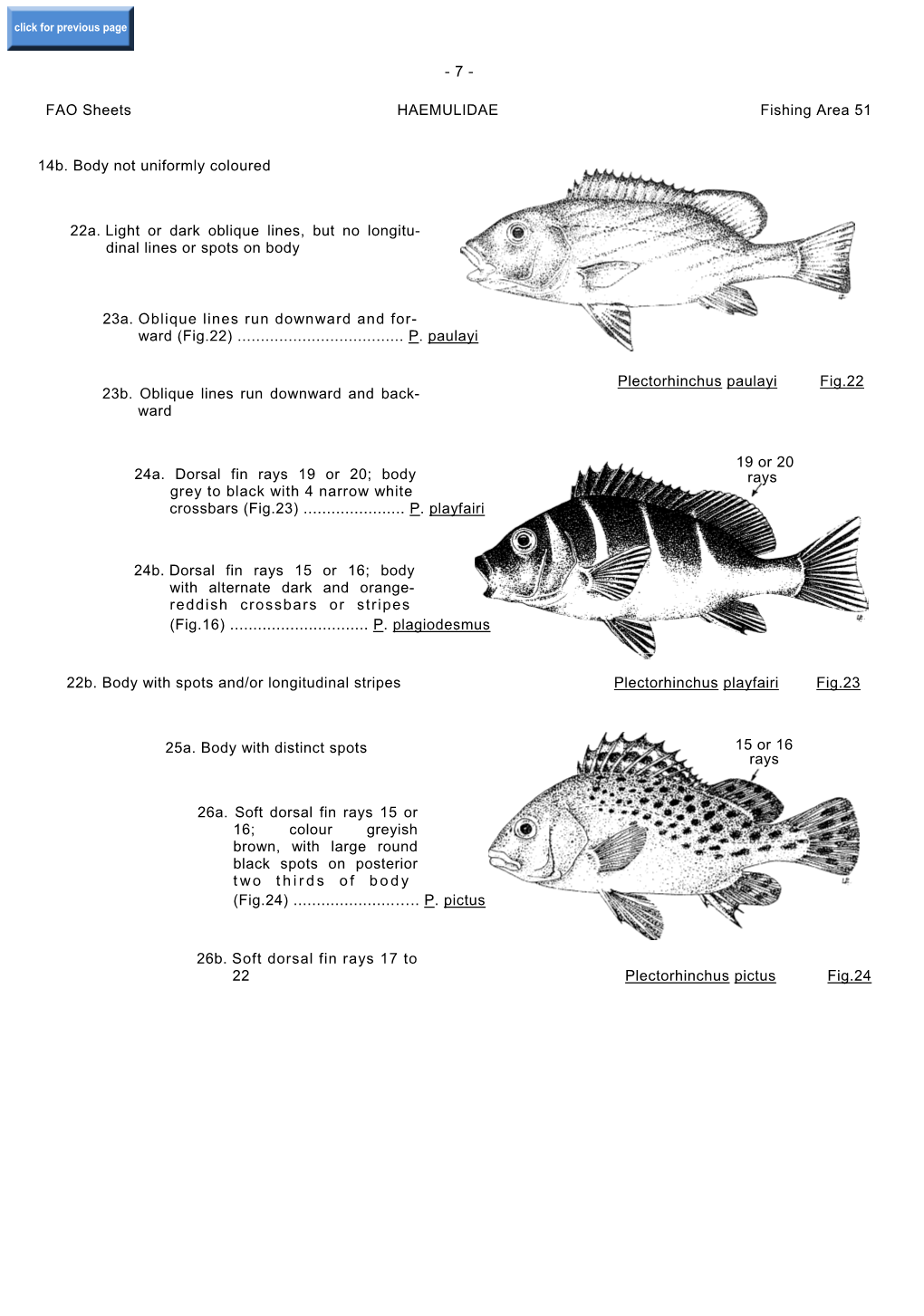 14B. Body Not Uniformly Coloured 22A. Light Or Dark Oblique Lines, but No