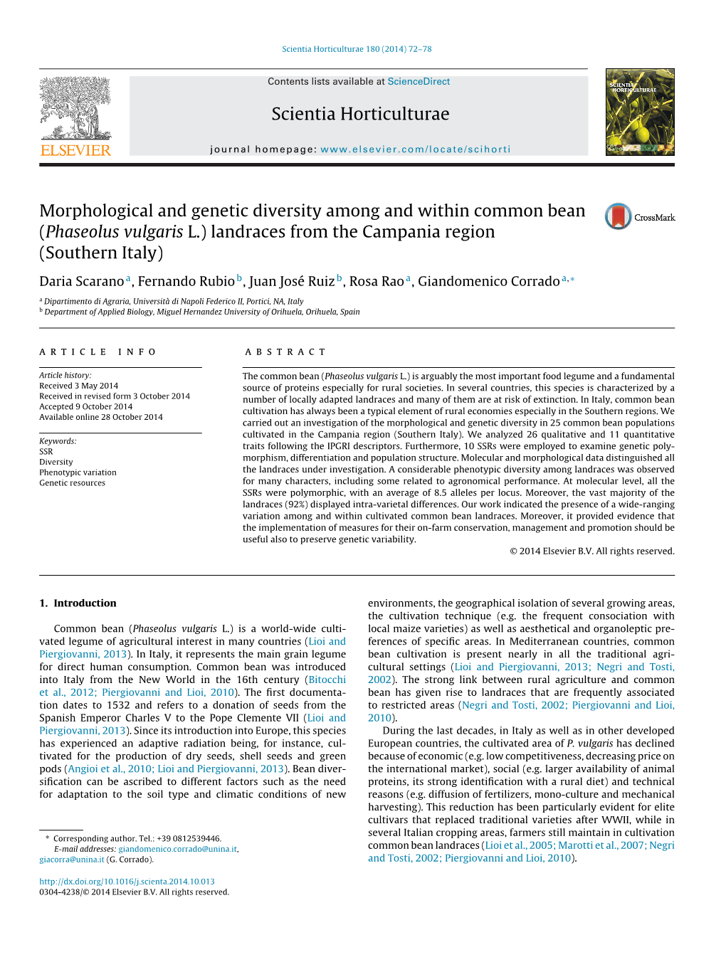 Morphological and Genetic Diversity Among and Within Common Bean