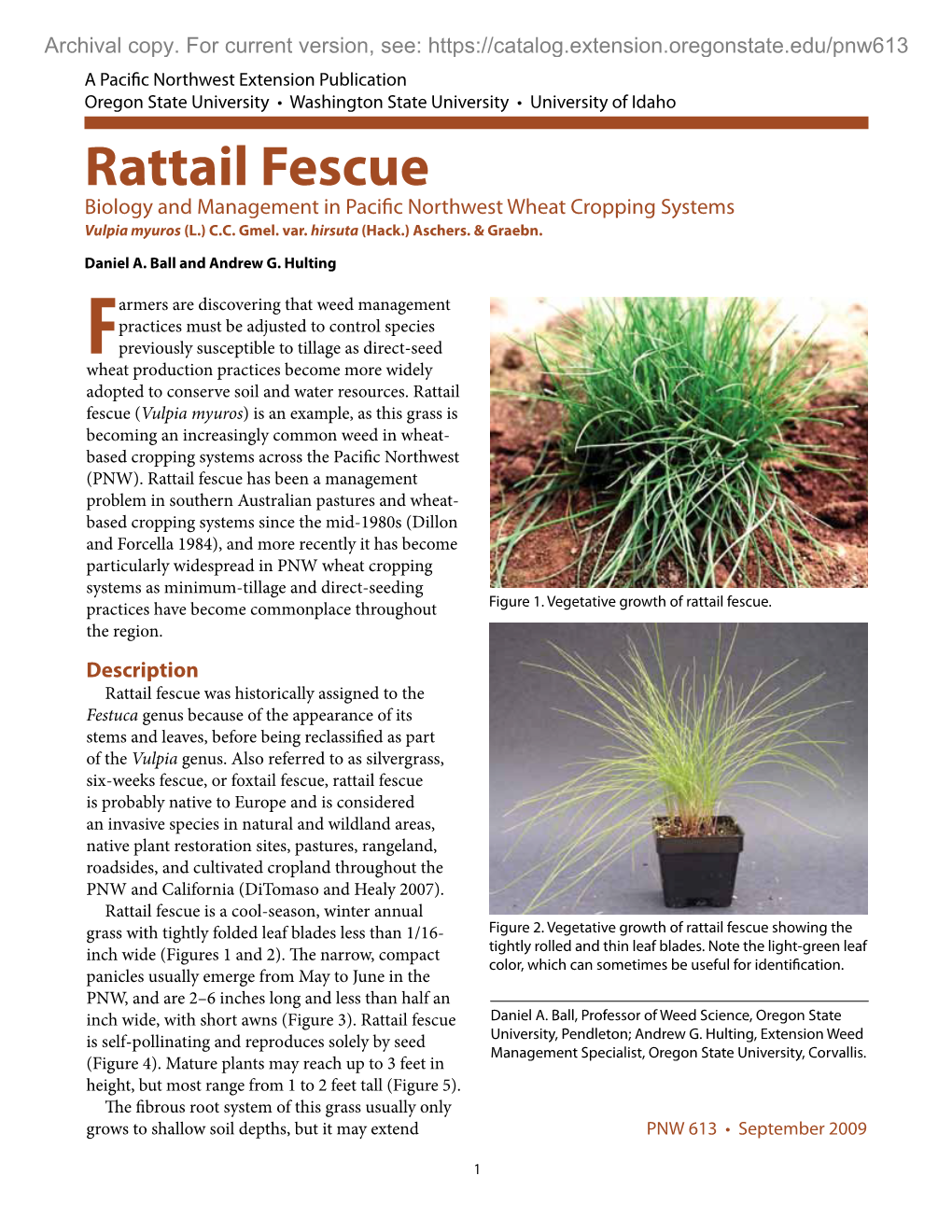 Rattail Fescue Biology and Management in Pacific Northwest Wheat Cropping Systems Vulpia Myuros (L.) C.C