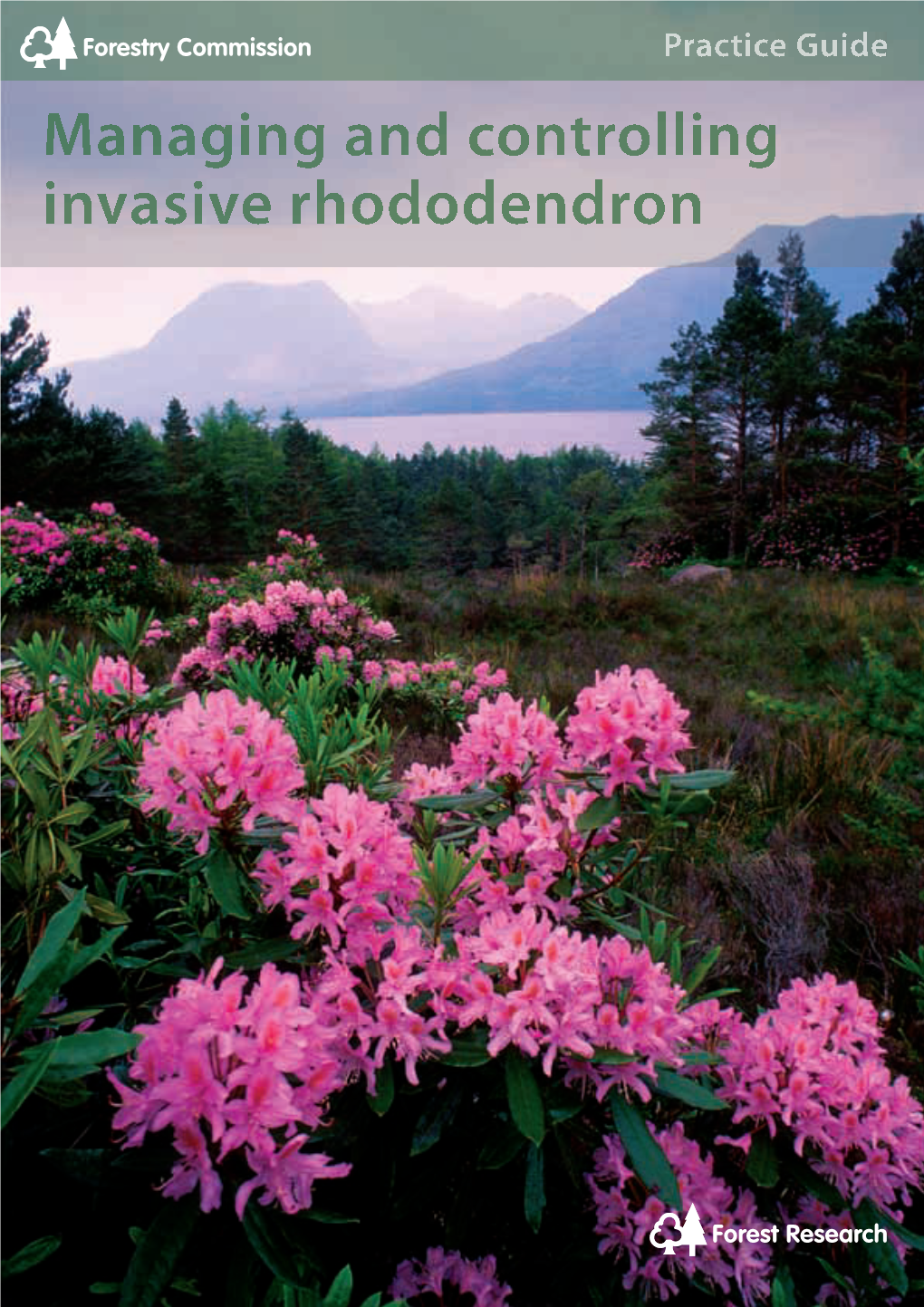 Managing and Controlling Invasive Rhododendron