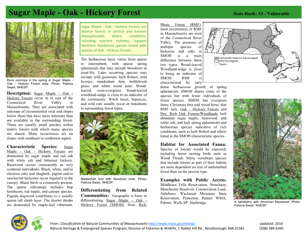 Sugar Maple - Oak - Hickory Forest State Rank: S3 - Vulnerable