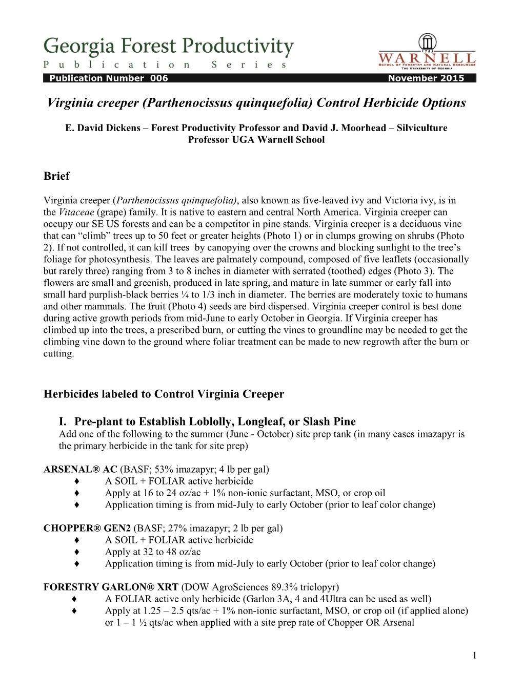 Virginia Creeper (Parthenocissus Quinquefolia) Control Herbicide Options