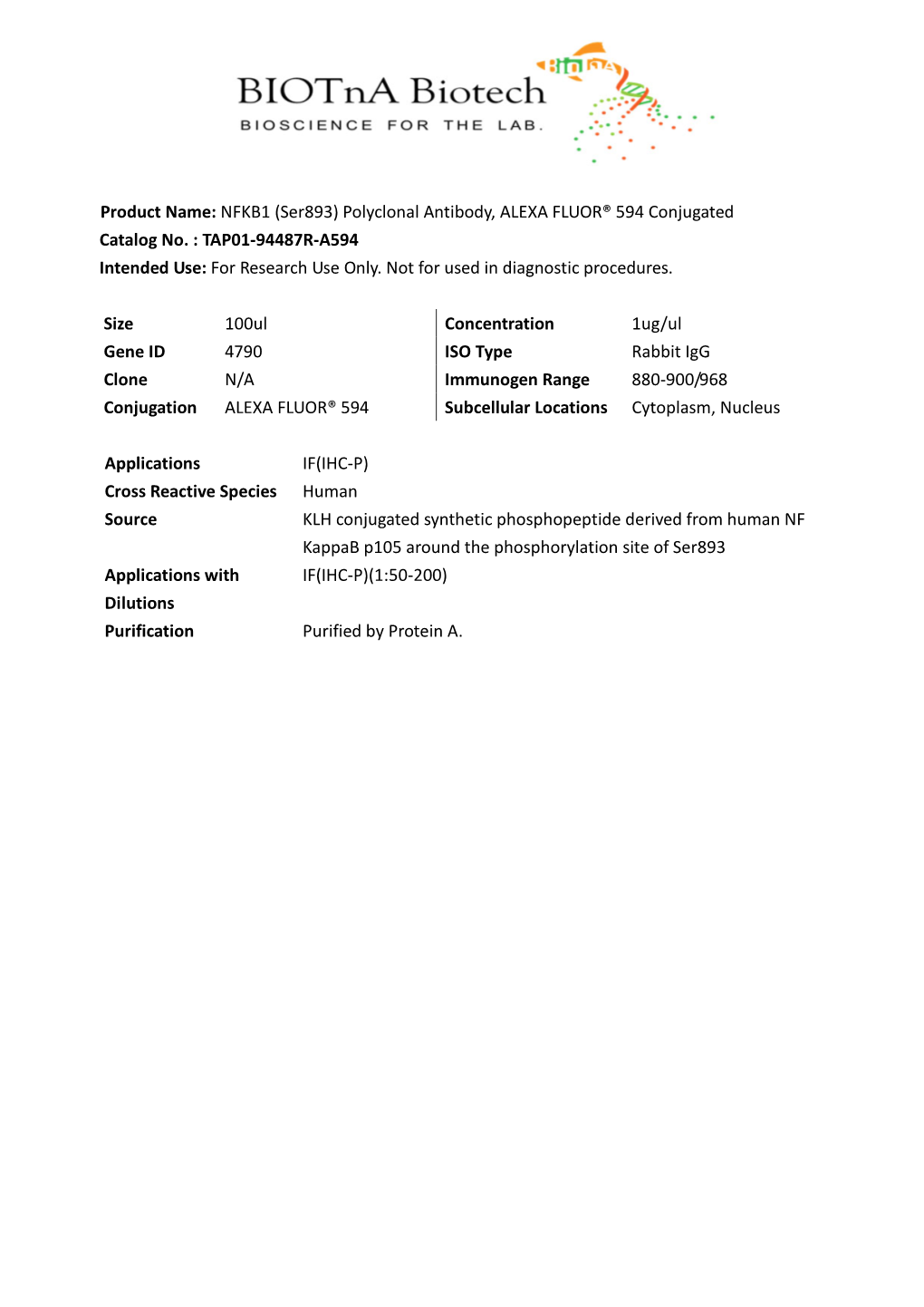 Product Name: NFKB1 (Ser893) Polyclonal Antibody, ALEXA FLUOR® 594 Conjugated Catalog No